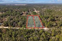 Land for sale in Levy County, Florida
