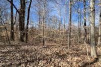 Land for sale in Stewart County, Tennessee