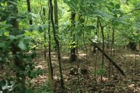 Land for sale in Clay County, North Carolina