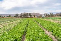 Land for sale in Riverside County, California