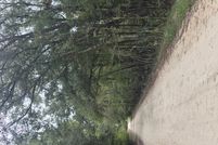 Homesite for sale in Gilchrist County, Florida