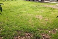 Homesite for sale in Merced County, California