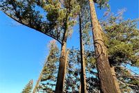 Land for sale in Butte County, California