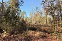 Land for sale in Tangipahoa Parish, Louisiana