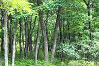 Homesite for sale in Luzerne County, Pennsylvania