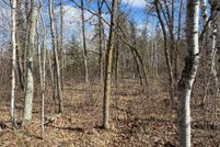 Land for sale in Beltrami County, Minnesota
