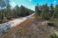 Land for sale in Levy County, Florida