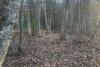 Waterfront Property for sale in Bland County, Virginia