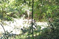 Land for sale in Santa Cruz County, California