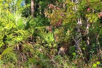 Land for sale in Collier County, Florida