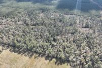 Land for sale in Allen Parish, Louisiana