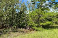 Undeveloped Land for sale in Marion County, Florida