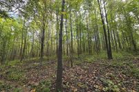 Undeveloped Land for sale in Massac County, Illinois