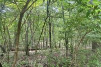 Land for sale in Jackson County, Illinois