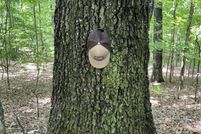 Land for sale in Monroe County, Mississippi