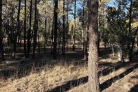 Land for sale in Navajo County, Arizona