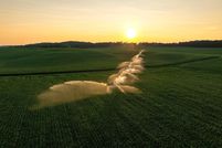 Land for sale in Waupaca County, Wisconsin