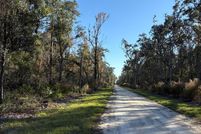 Land for sale in Dixie County, Florida