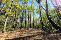 Undeveloped Land for sale in Charleston County, South Carolina