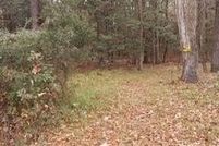 Homesite for sale in Colleton County, South Carolina