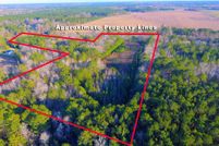 Land for sale in Orangeburg County, South Carolina