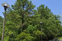 Land for sale in Berkeley County, South Carolina