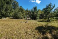 Land for sale in Orangeburg County, South Carolina