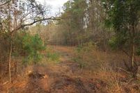 Land for sale in Orangeburg County, South Carolina