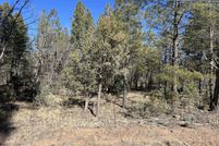 Land for sale in Navajo County, Arizona