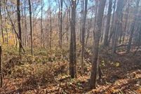 Undeveloped Land for sale in Lawrence County, Kentucky