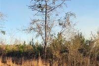 Land for sale in Macon County, Alabama