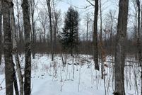 Land for sale in Oneida County, Wisconsin