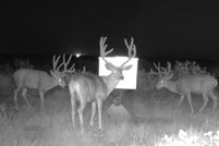 Land for sale in Cochran County, Texas