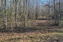 Land for sale in Yell County, Arkansas