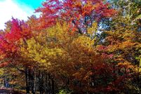 Undeveloped Land for sale in Luzerne County, Pennsylvania