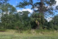Land for sale in Hendry County, Florida