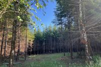Land for sale in Grays Harbor County, Washington