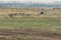 Land for sale in Mountrail County, North Dakota