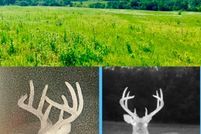 Land for sale in Taney County, Missouri