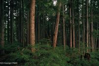 Land for sale in Carbon County, Pennsylvania