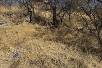 Land for sale in Santa Cruz County, Arizona