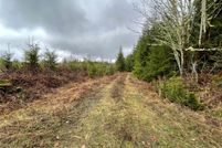 Land for sale in Lewis County, Washington