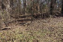 Land for sale in Camp County, Texas