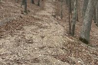 Undeveloped Land for sale in Carroll County, Arkansas