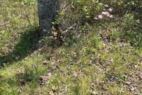 Land for sale in Grundy County, Tennessee