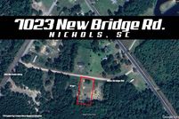 Undeveloped Land for sale in Marion County, South Carolina