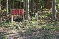 Land for sale in Ashtabula County, Ohio