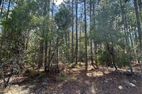 Land for sale in Citrus County, Florida