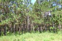 Land for sale in Mitchell County, Georgia