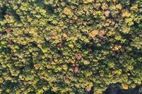 Land for sale in Phelps County, Missouri